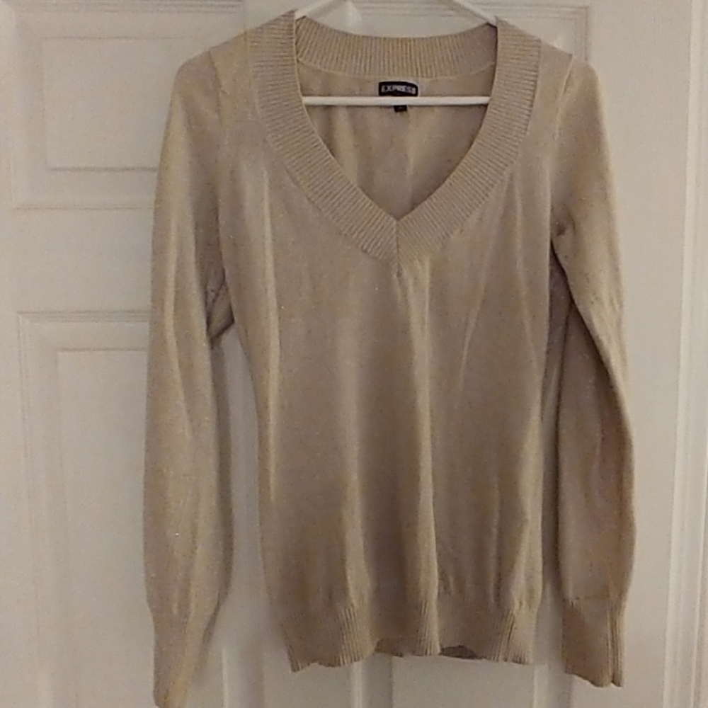 Express sweater